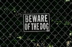 Dog Bite Lawyer Boston